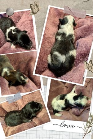 97155756-8f87-4034-8450-97f62088904e